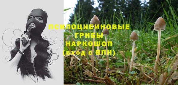 гидропоника Алексин