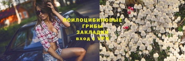 ECSTASY Сафоново