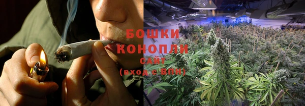 ГАЛЛЮЦИНОГЕННЫЕ ГРИБЫ Алзамай
