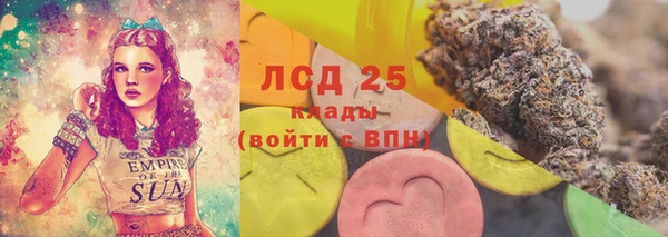 ГАЛЛЮЦИНОГЕННЫЕ ГРИБЫ Алзамай